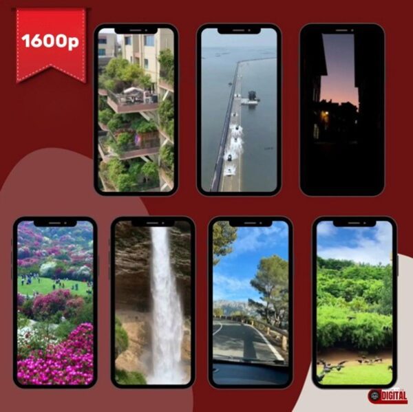 1000+ комплектов Faceless Reels, видео, Faceless Marketing, Faceless Video, Nature Reels — изображение 2