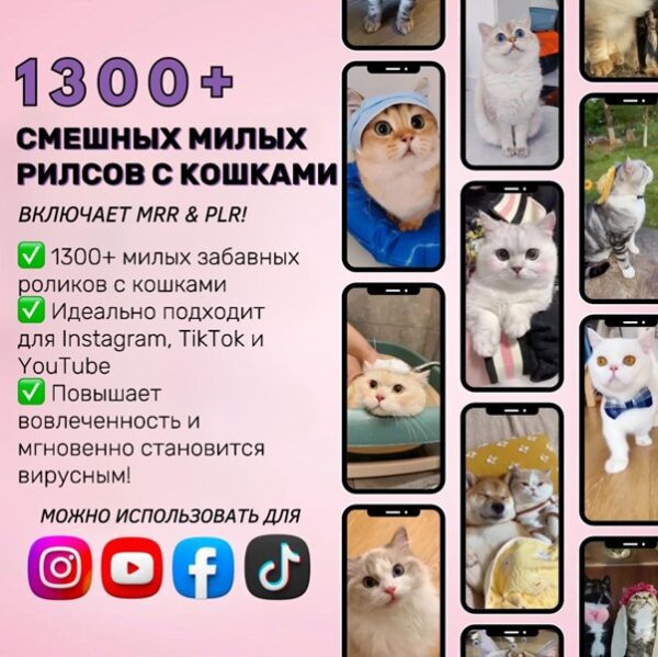 1300+ шаблонов роликов с кошками — милые шаблоны коротких видеороликов для Instagram, TikTok и YouTube — изображение 2